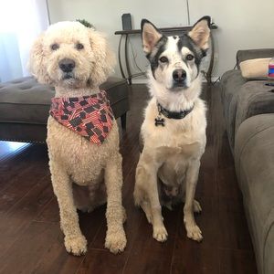 Meet your Posher, Shi